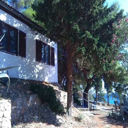 Tourist Resort Milna Vis Zewnętrze zdjęcie